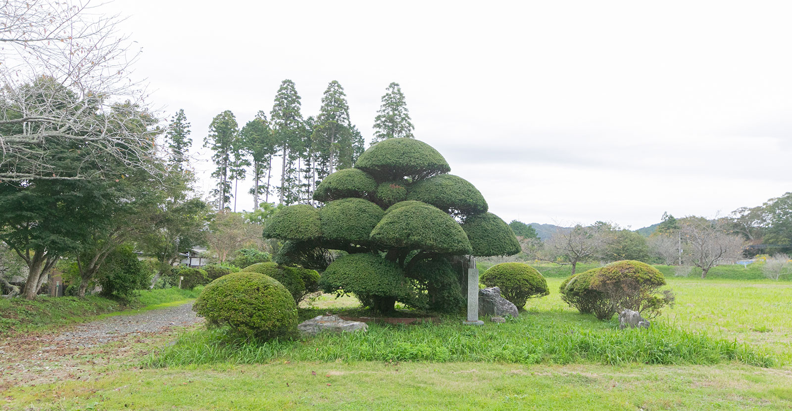 宝林寺